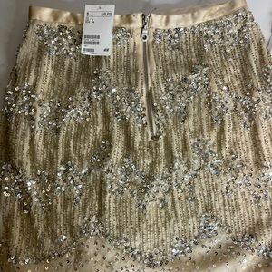 H&M skirt